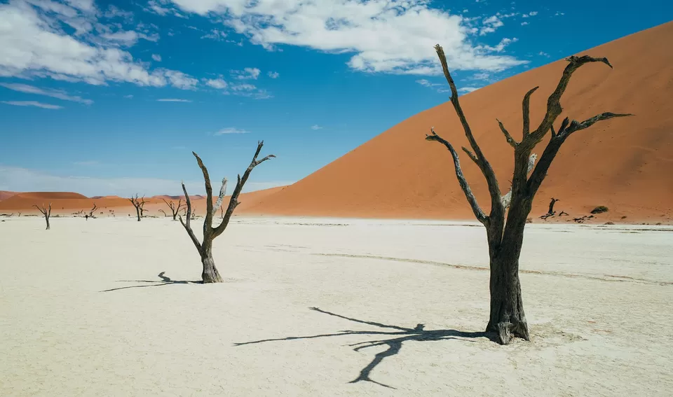 Photo of 5 World's Strangest Sights You Won't Regret Adding To Your Travel Bucketlist! by Varsha Banerjee