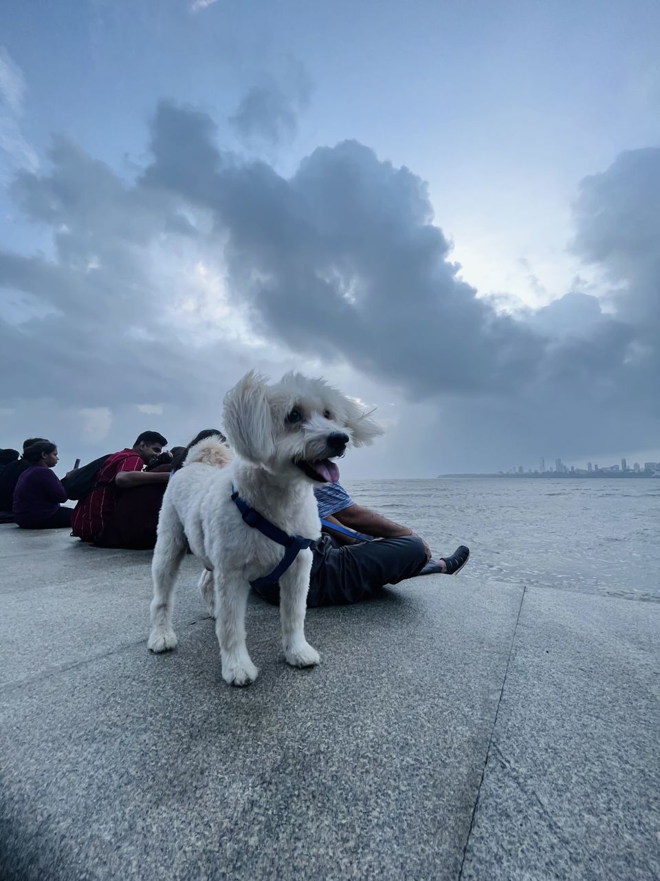 Photo of Mumbaikars say vibe of Marine drive hits different during monsoon. by Aakash Vishwakarma
