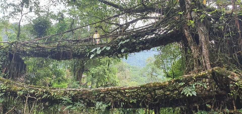 Photo of Meghalaya - Jewel of the Northeast by Apoorv & Smita