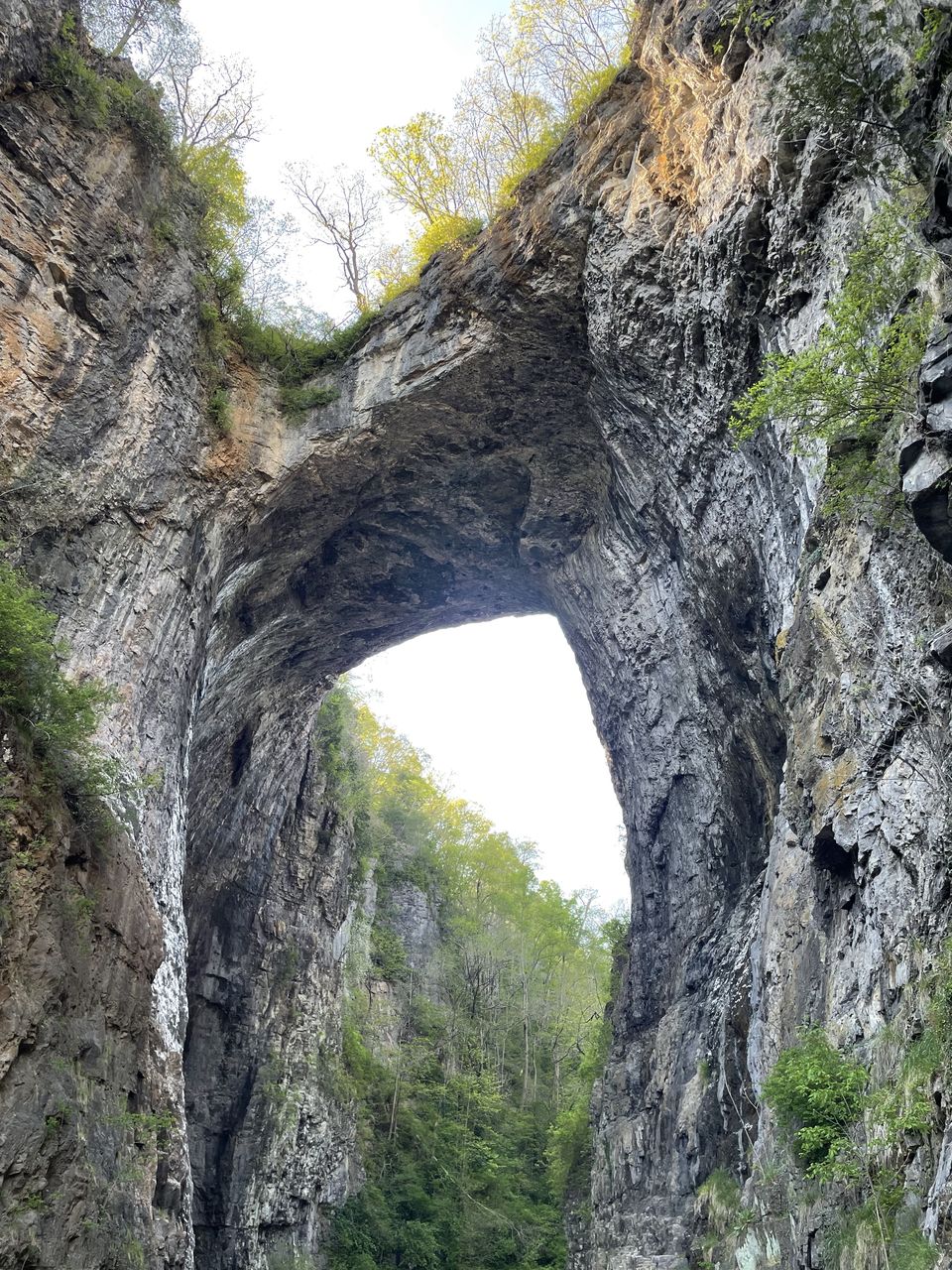 Photo of Natural Bridge, Rockbridge County by Sixty and Travelling
