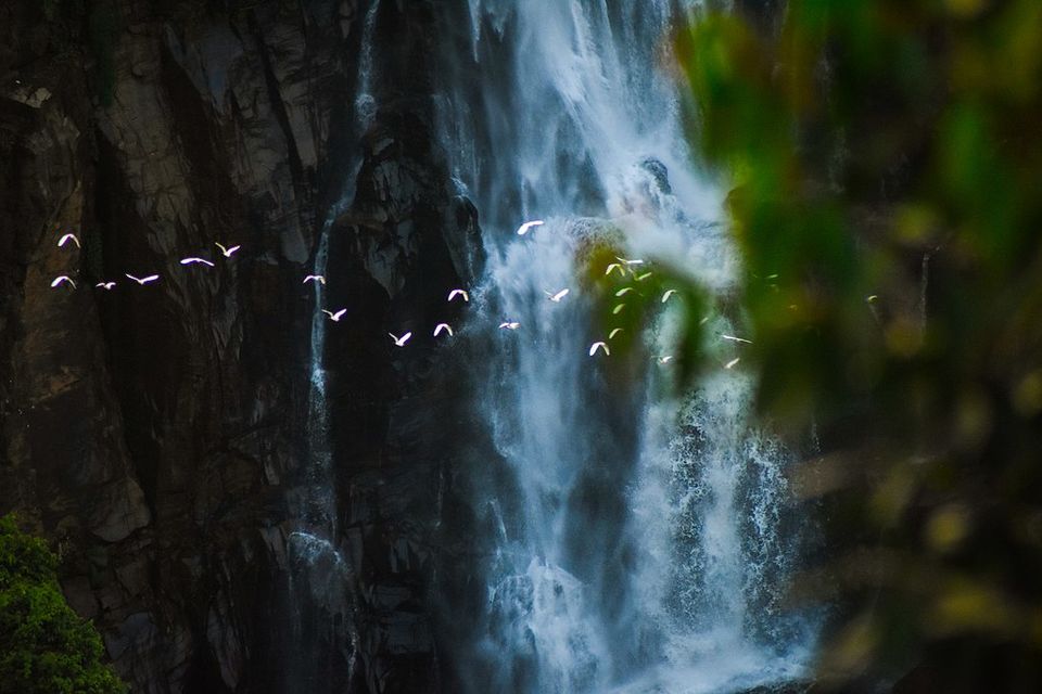 Photo of Activities to Enjoy in and Around Nuwara Eliya – Memorable Adventures in the Mountains by Amie Ginendra