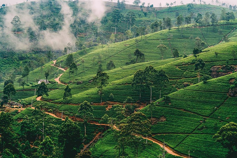 Photo of Activities to Enjoy in and Around Nuwara Eliya – Memorable Adventures in the Mountains by Amie Ginendra
