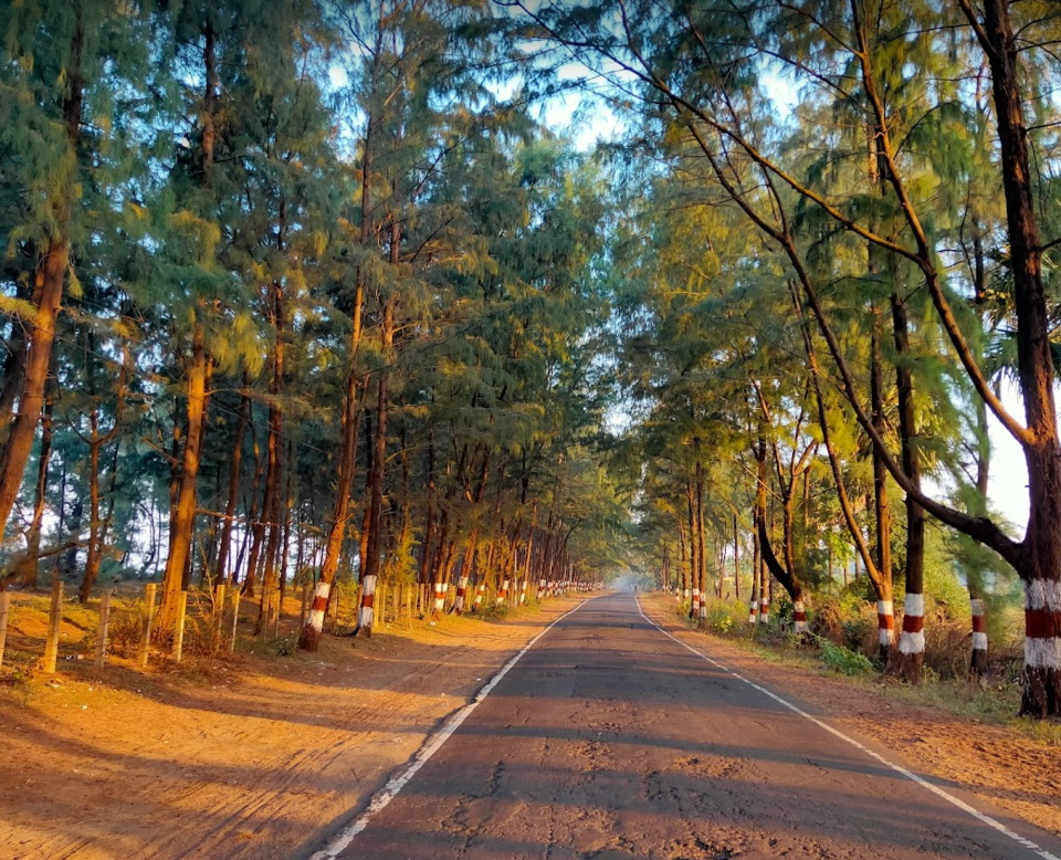 Photo of Peaceful Beaches @ Dahanu by Go Crazy Blogger