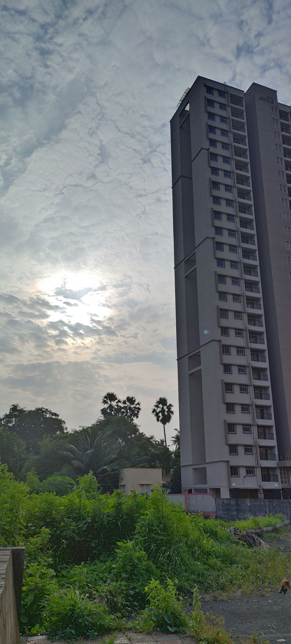 Photo of Virar, Thane by Go Crazy Blogger
