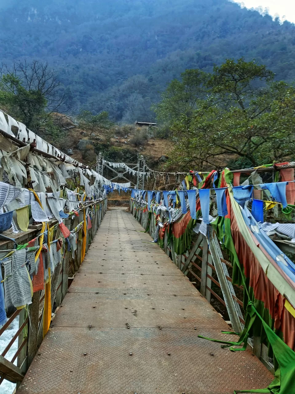 Photo of Untouched Beauty of the Northeast Himalayas by Himanshu Paliwal