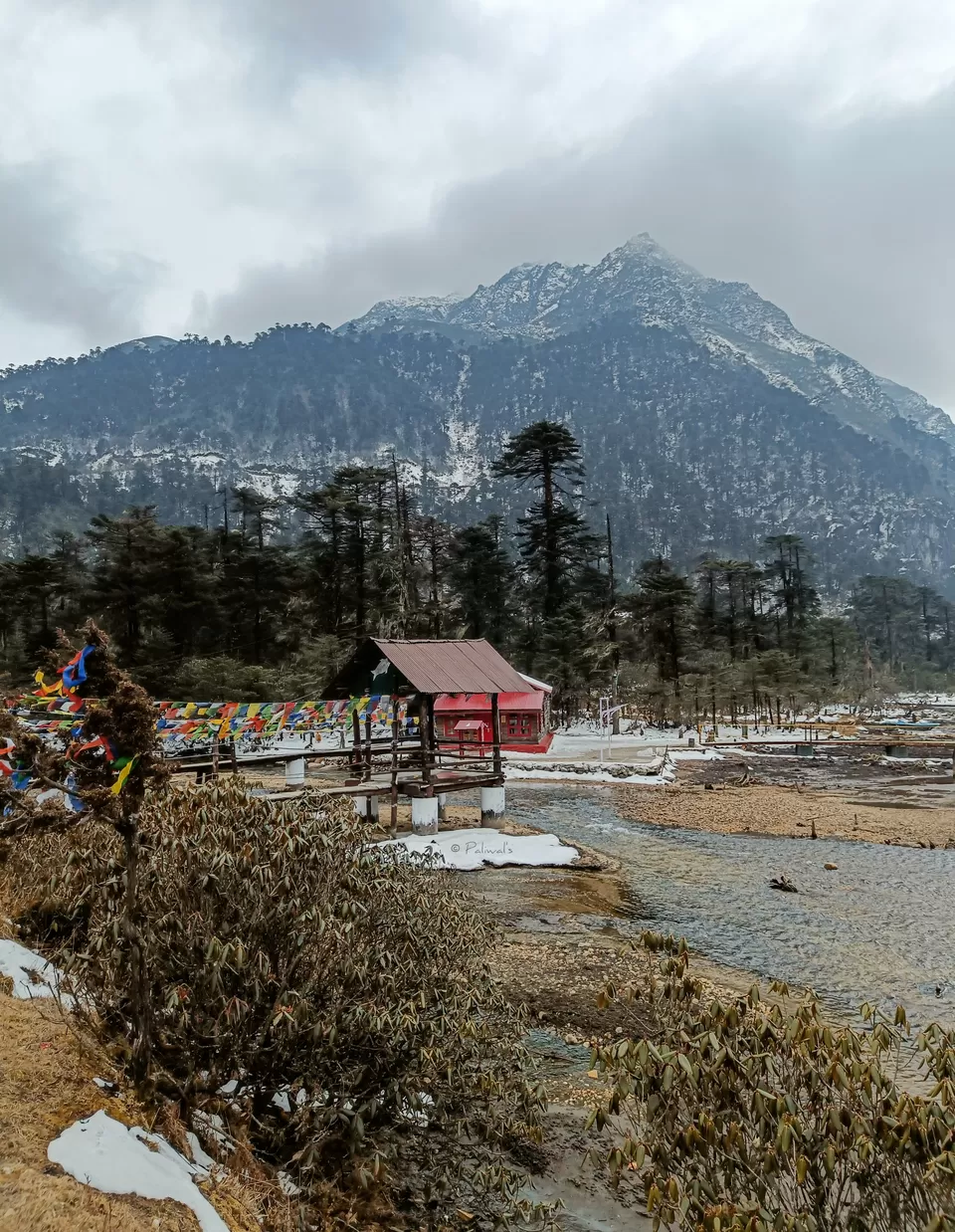 Photo of Untouched Beauty of the Northeast Himalayas by Himanshu Paliwal