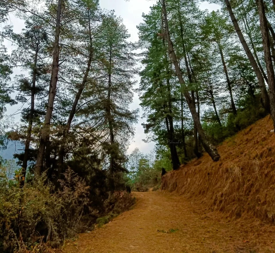 Photo of Untouched Beauty of the Northeast Himalayas by Himanshu Paliwal