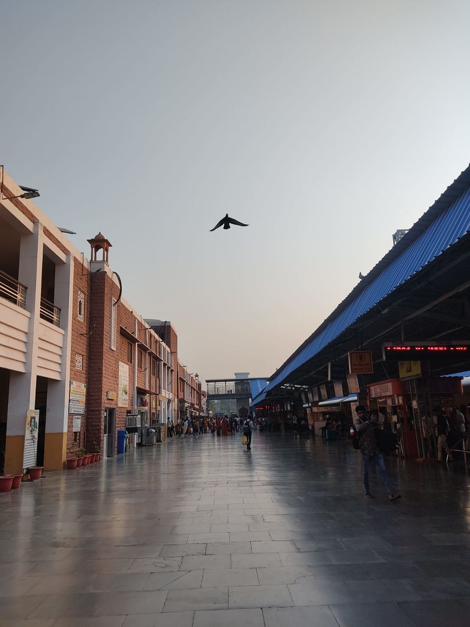 Photo of The Blue City - Jodhpur : 1 night 2 Days trip from Gandhinagar, Gujarat by Sunita Yadav