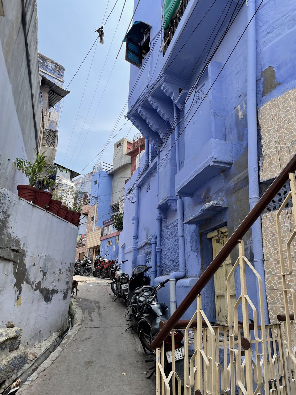 Photo of The Blue City - Jodhpur : 1 night 2 Days trip from Gandhinagar, Gujarat by Sunita Yadav
