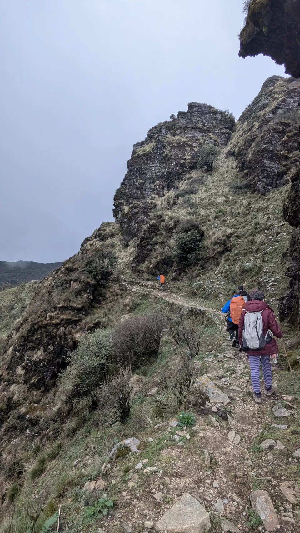 Photo of Phoktheydara–Singalila Top Trek: A Journey Through Rain, Fog, and Glimpses of Majesty by Meghna N Kushalappa