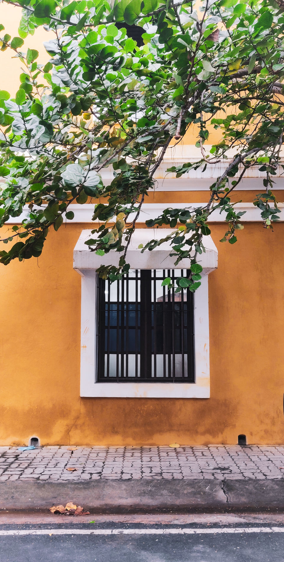 Photo of Itinerary for a perfect vacation in Puducherry! by ARPITA HAIT | Traveller
