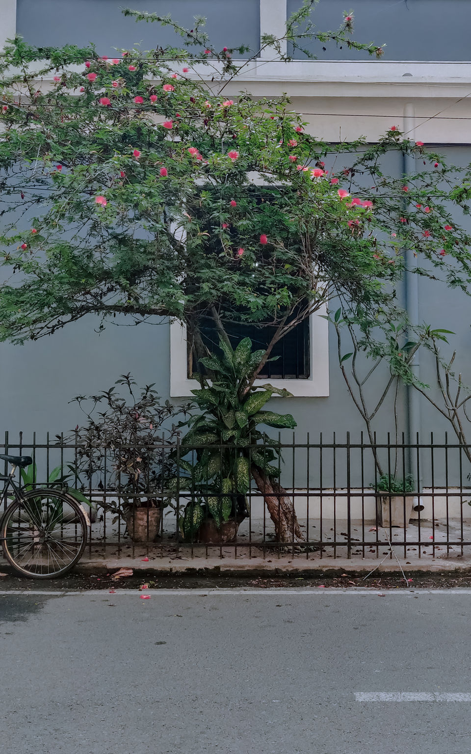 Photo of Itinerary for a perfect vacation in Puducherry! by ARPITA HAIT | Traveller