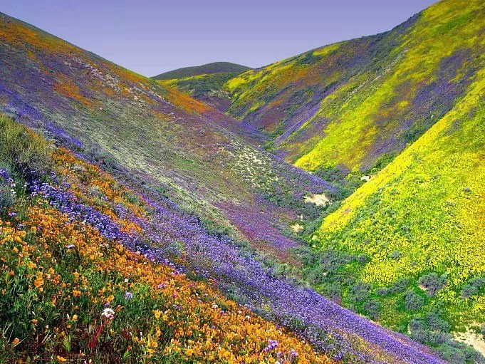Photo of Valley of Flowers National Park, Chamoli by Arko Banerjee