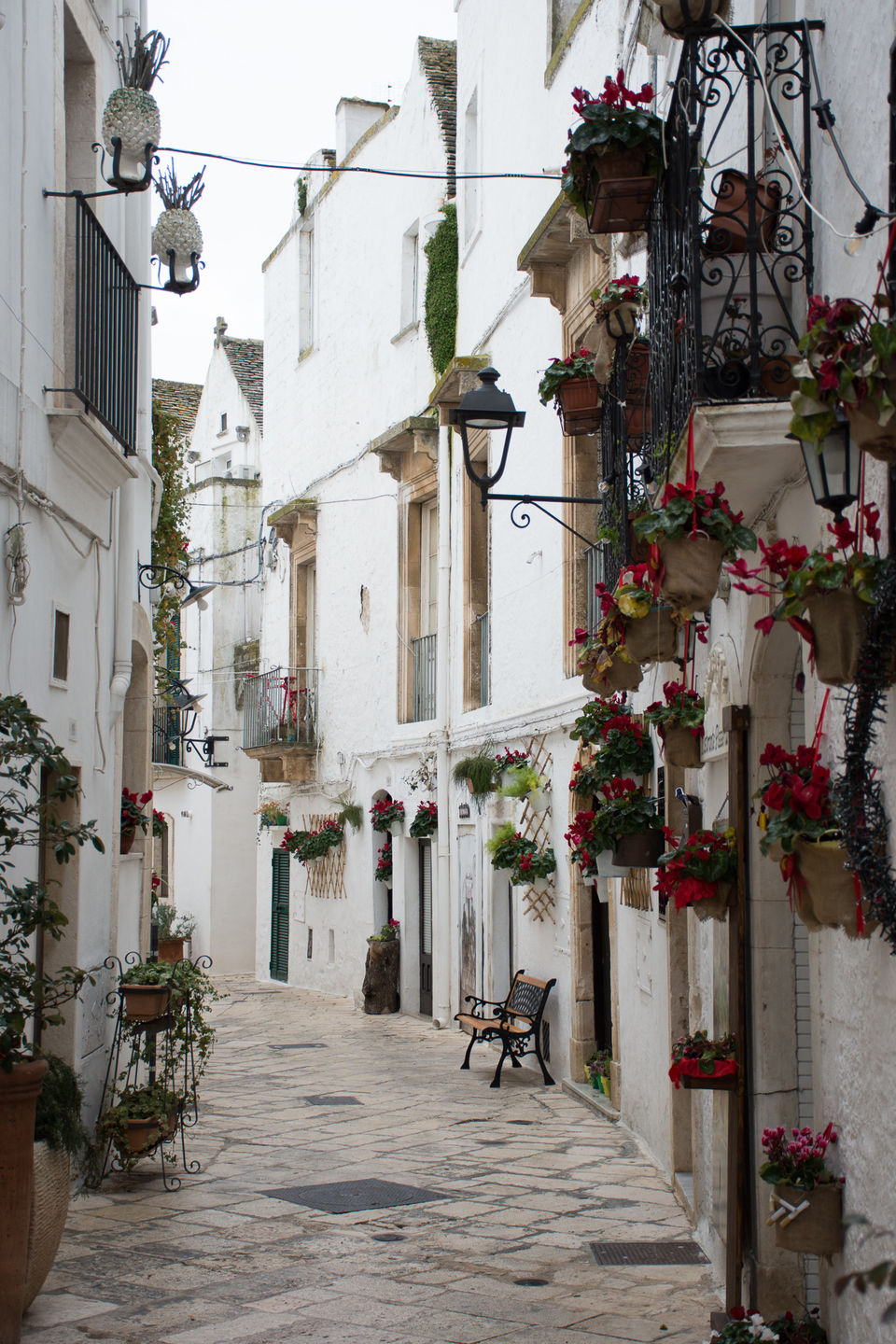 Photo of Locorotondo, Metropolitan City of Bari by Ayushi Dani