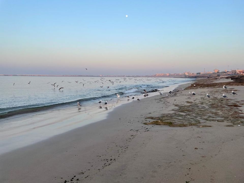 Photo of Porbandar- A port city by kukiontrip