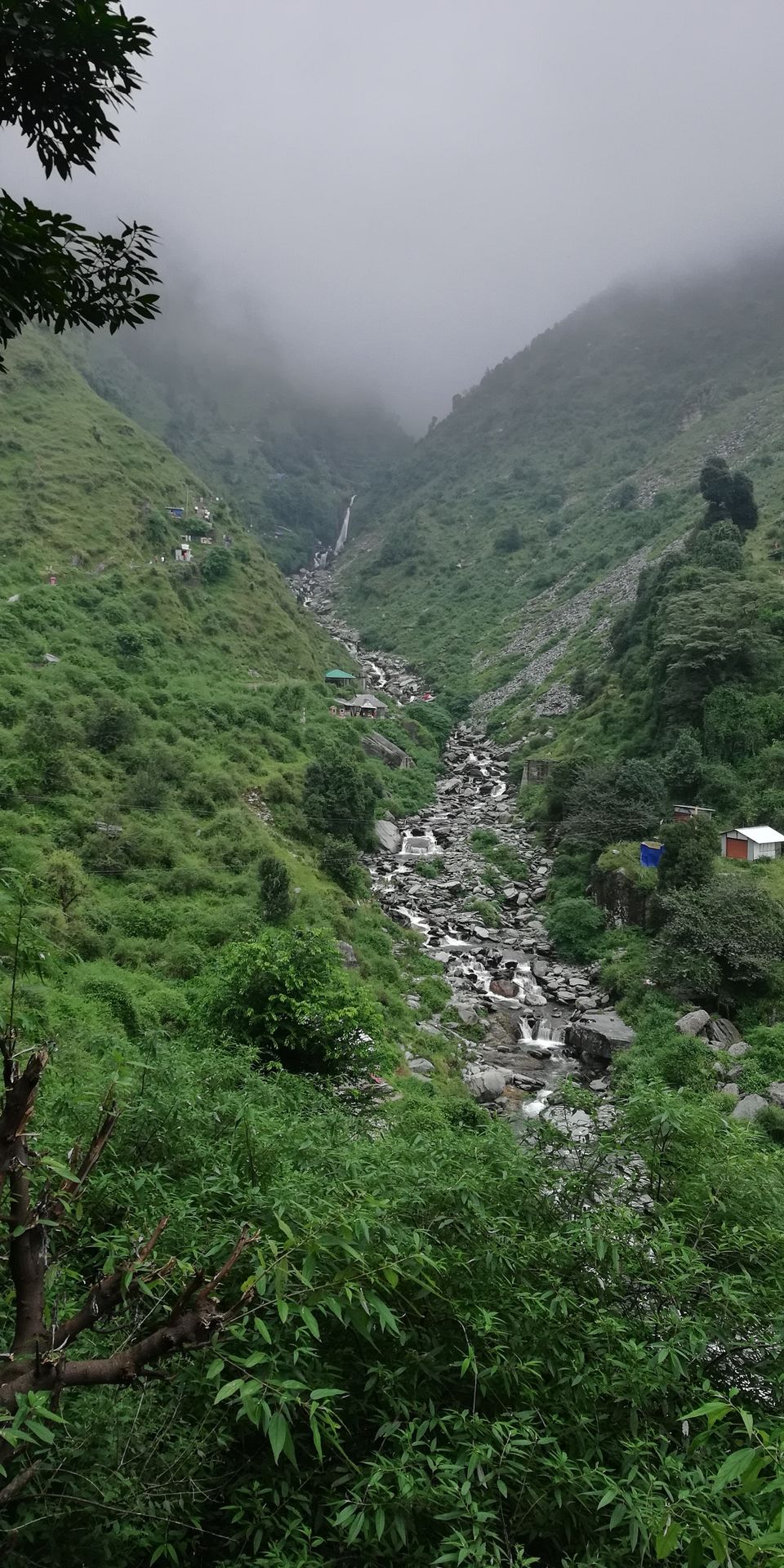 Photo of Mom and Me: A Working Holiday in Dharamshala by Shalini Rai
