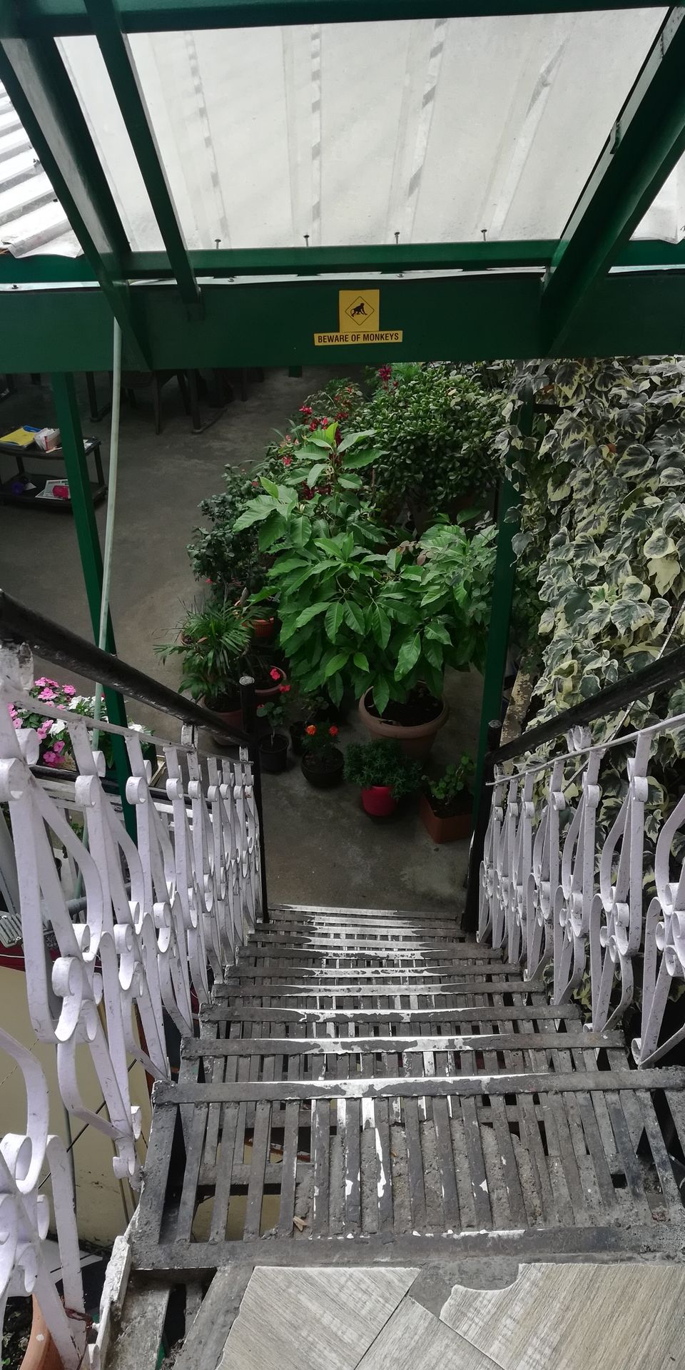 Photo of Mom and Me: A Working Holiday in Dharamshala by Shalini Rai