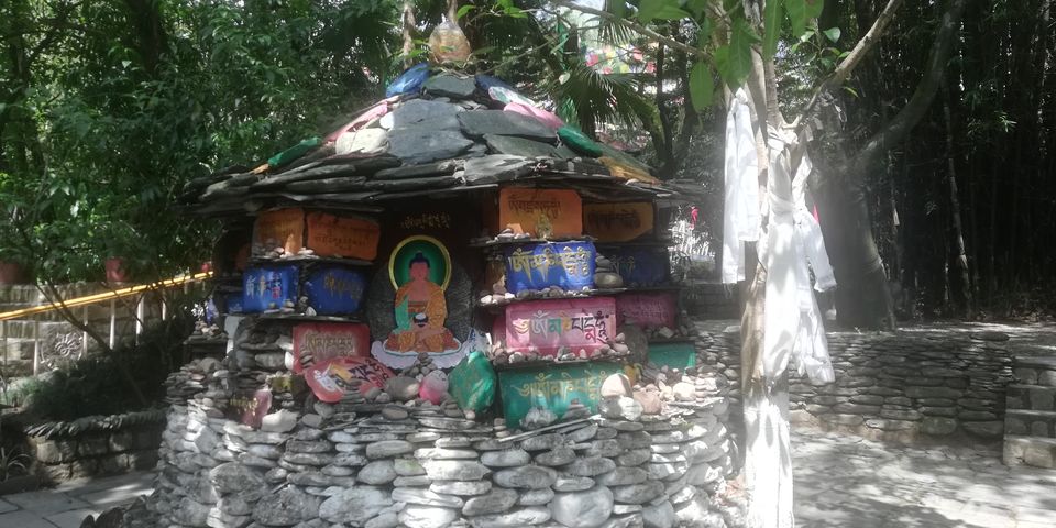Photo of Norbulingka Institute, Sidhpur by Shalini Rai