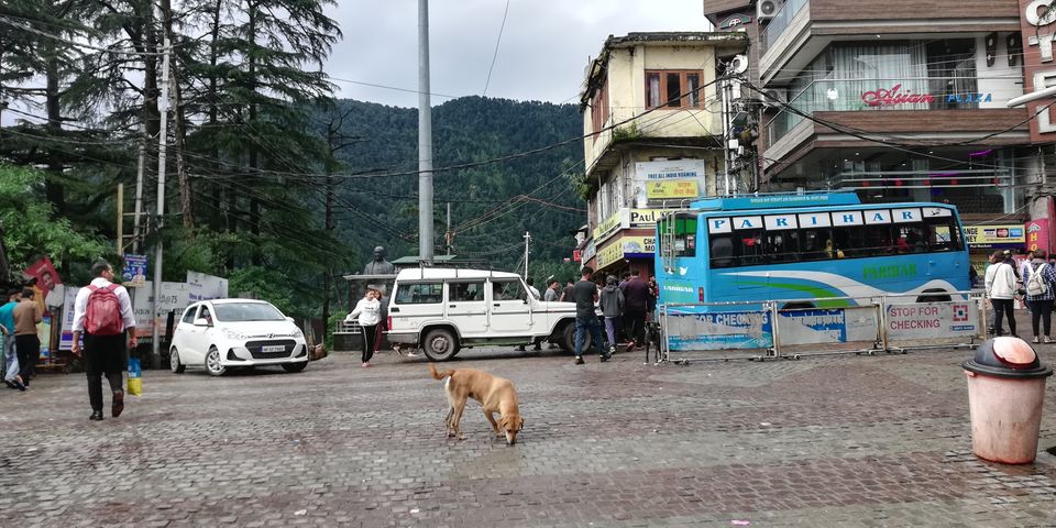 Photo of Mom and Me: A Working Holiday in Dharamshala by Shalini Rai