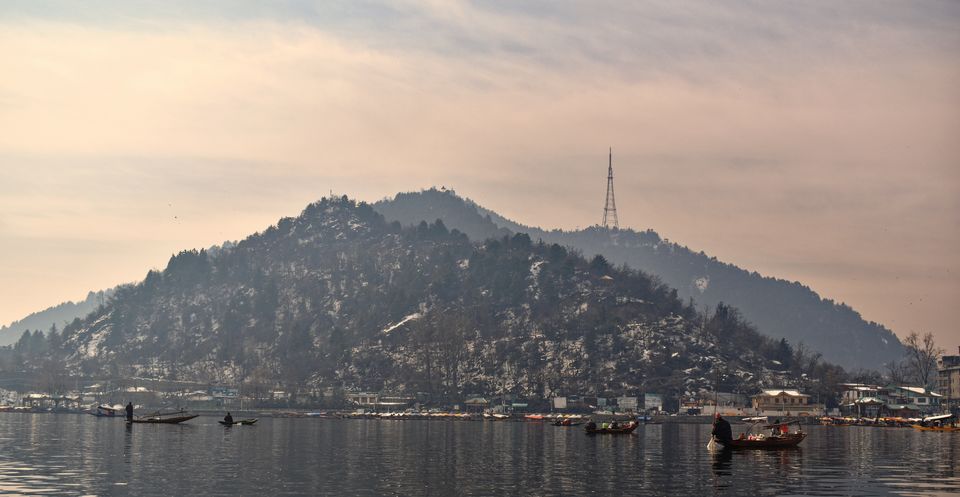 Photo of Srinagar: City of Mughal Gardens and Lakes, Kashmir Diaries Chapter 1 by Neha Mourya