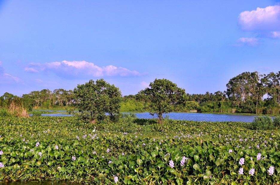 Photo of Explore the Tranquillity and Diversity of Tangalle by Clair Ginendra
