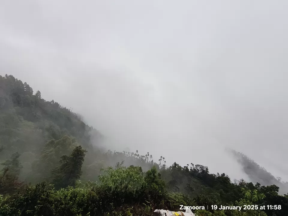 Photo of Bengaluru to Kodaikanal and Poombarai: A Monsoon Motorcycle Odyssey by Zamoora Life