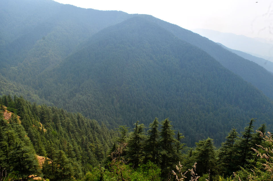 Photo of Green Valley, Kufri by Bibek Chaudhuri