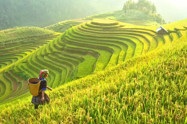 Photo of How to Choose the Best Vietnam Tour Package by jashodayan chakma