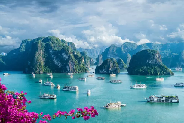 Photo of How to Choose the Best Vietnam Tour Package by jashodayan chakma