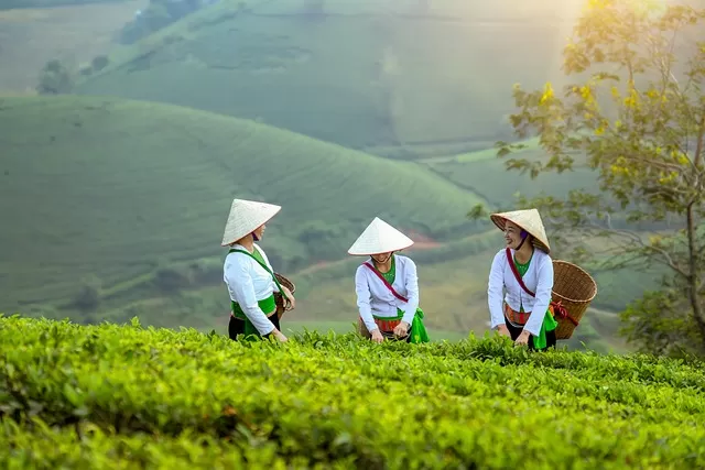 Photo of How to Choose the Best Vietnam Tour Package by jashodayan chakma