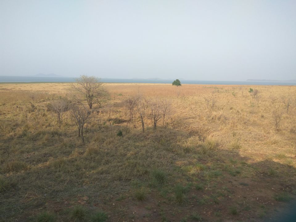 Photo of Debrigarh's jungle lore #TM2021 by Shrishti Sharma