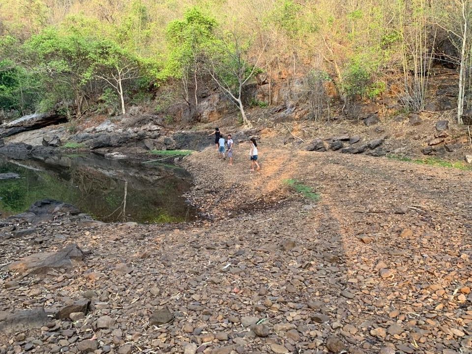 Photo of Debrigarh's jungle lore #TM2021 by Shrishti Sharma