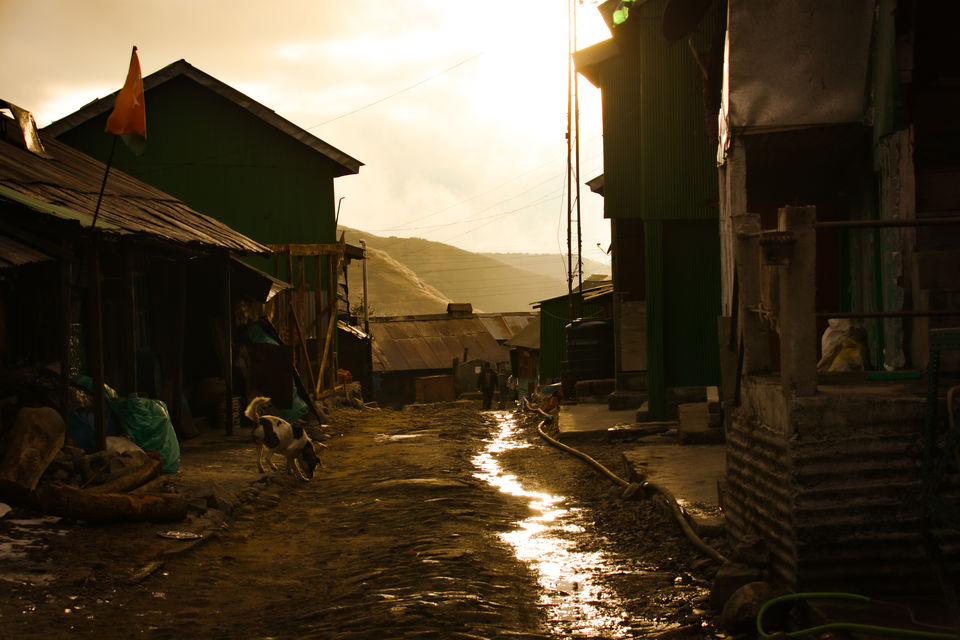 Photo of Our humble abode in Nathang valley, Sikkim - #TM2021 by Malavika Bhatt
