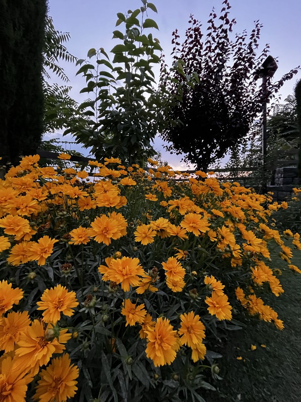 Photo of Chasing Sunset in Srinagar by TravelTalesWithLisha