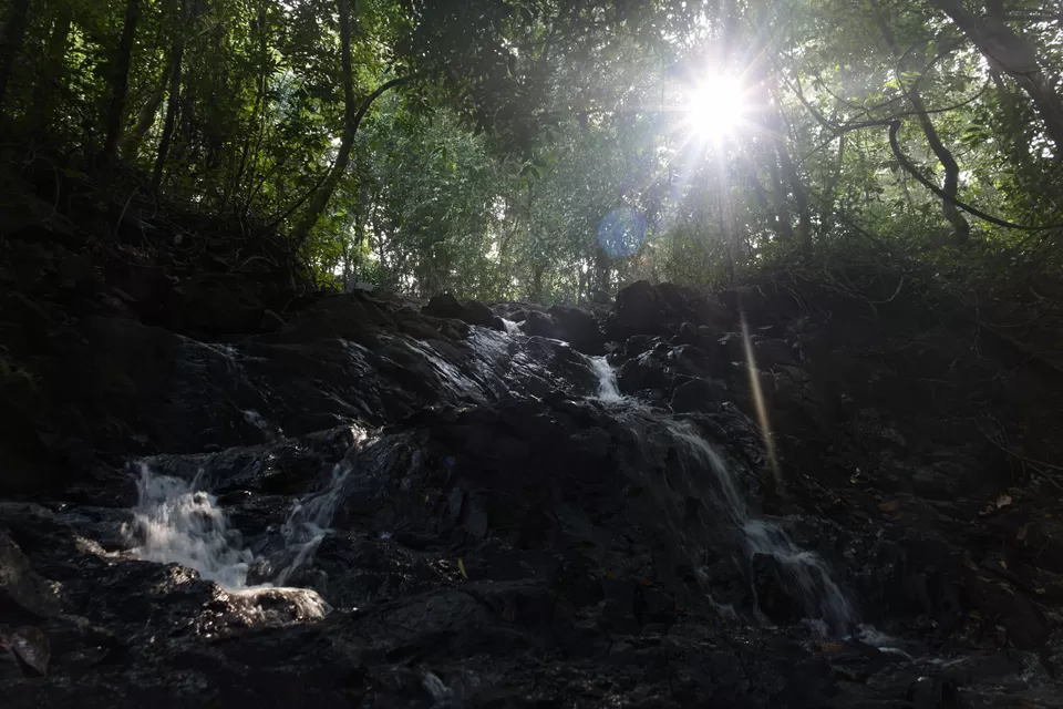 Photo of Best of South Goa in 5 days by A Purushotham