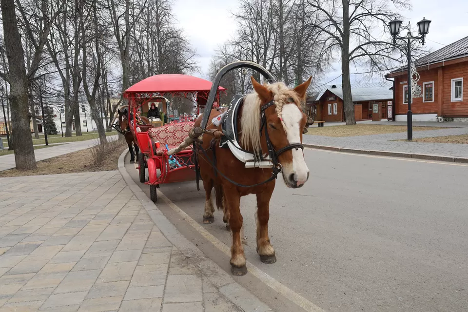 Photo of Explore Russia in 2025 - Moscow, Vladimir and Suzdal by A Purushotham