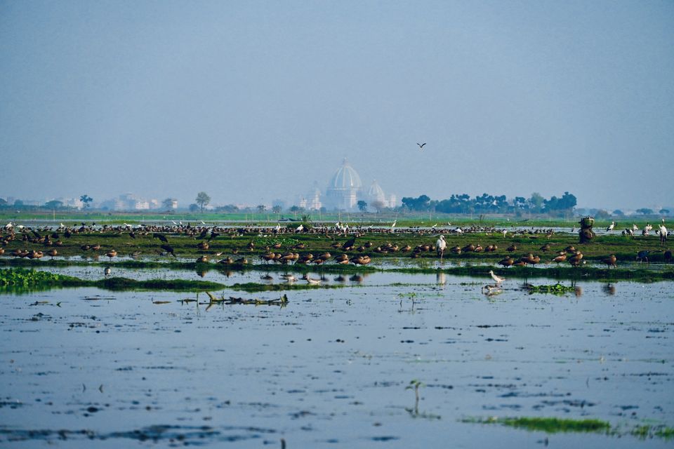 Photo of A Best Place for Bird Photography & Tourist Spot for Family and Couples to visit in the afternoon by Avery Choudhury