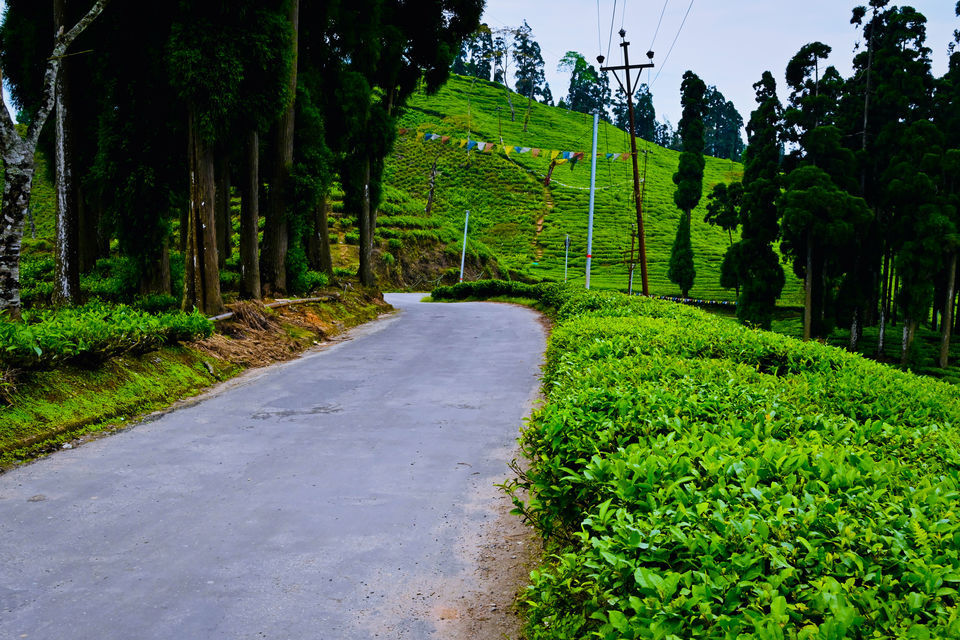 Photo of Tinchuley - One of the most beautiful offbeat places near Darjeeling by Avery Choudhury
