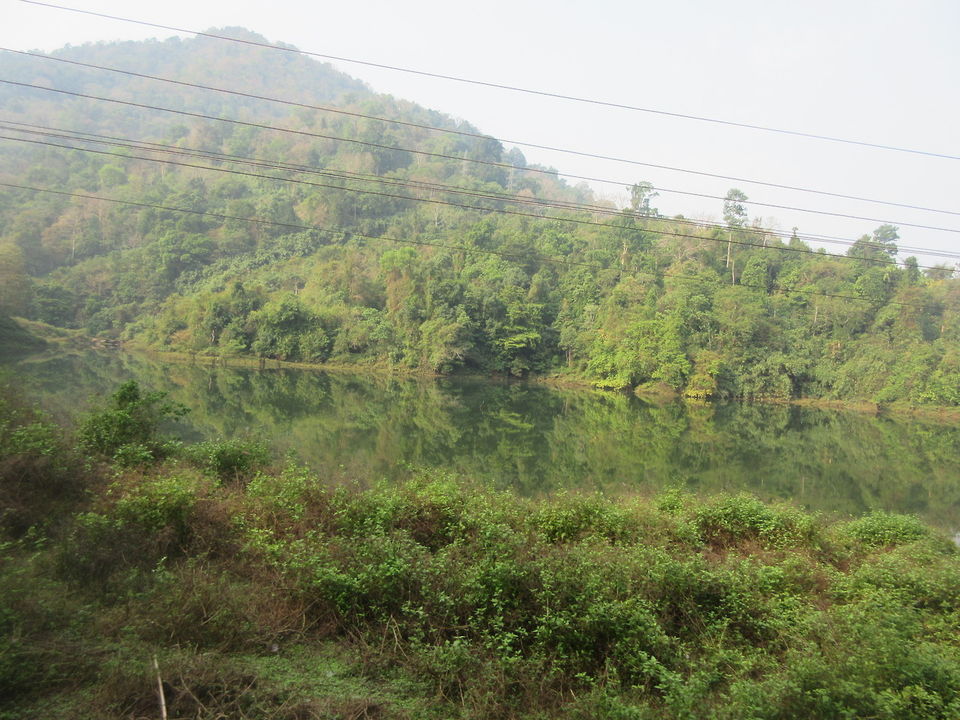 Photo of Gavi KSRTC (Adavi - Konni) by Appu