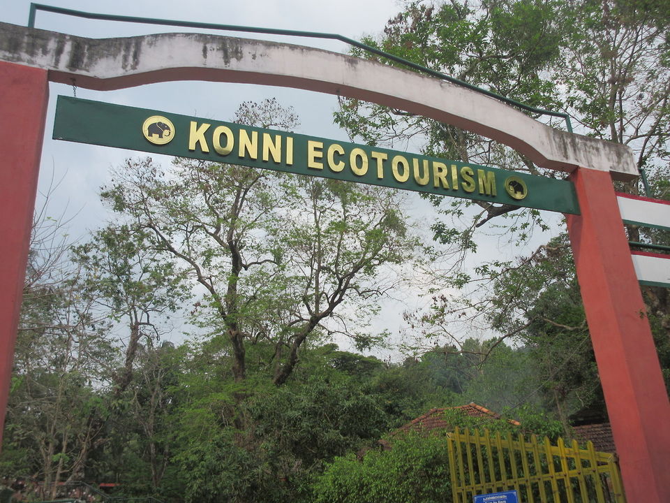 Photo of Gavi KSRTC (Adavi - Konni) by Appu