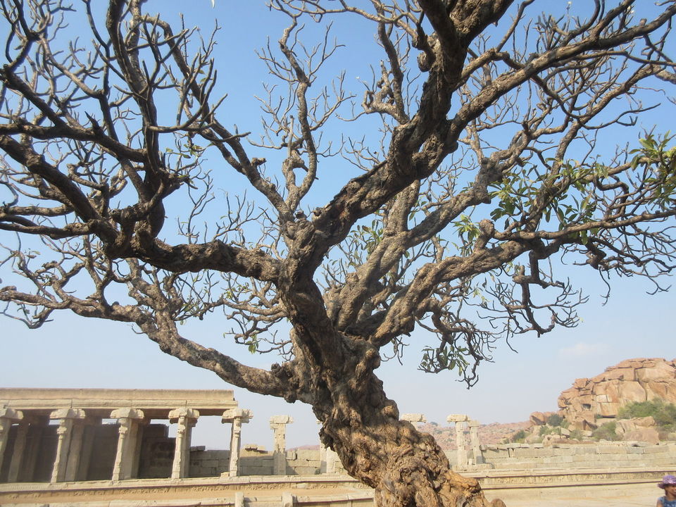Photo of Hampi Gokarna by Appu