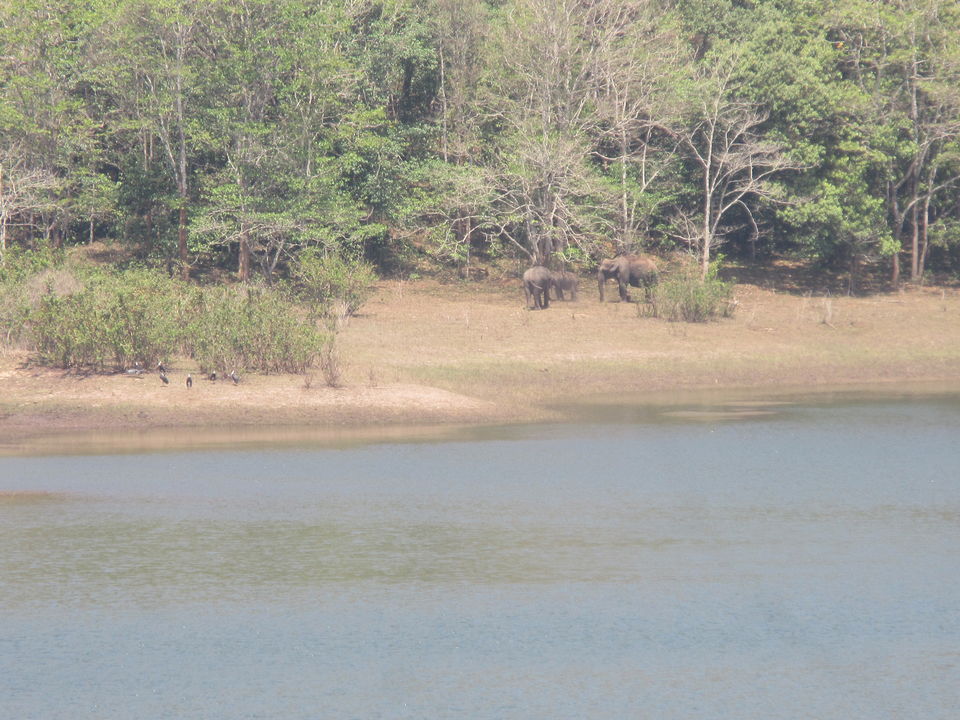 Photo of Thekkady Lake Palace (A trip to nature) by Appu
