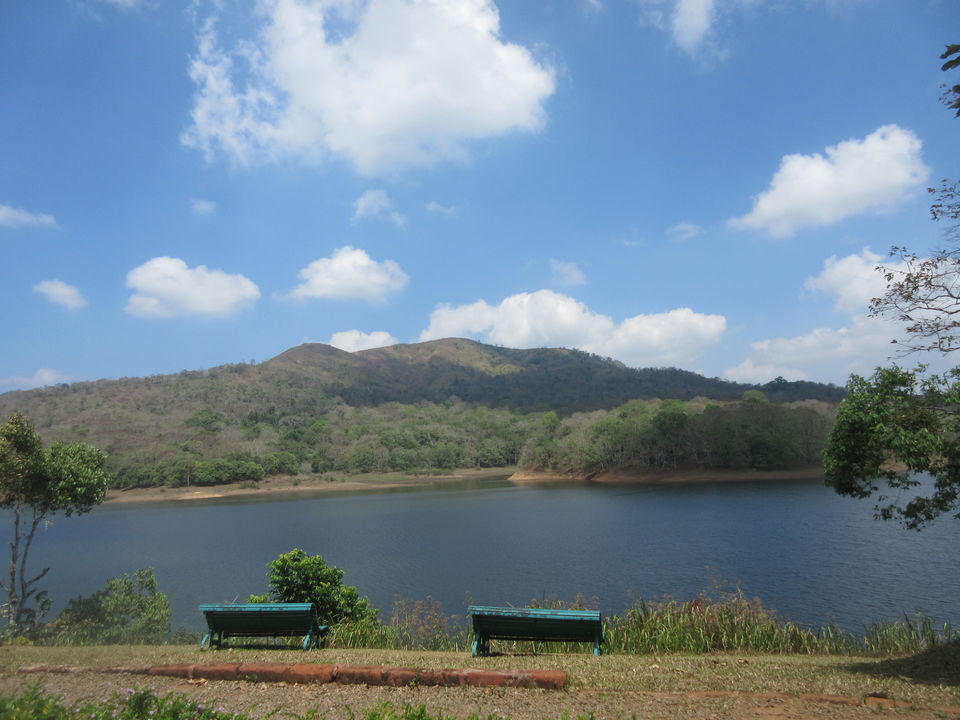 Photo of Thekkady Lake Palace (A trip to nature) by Appu