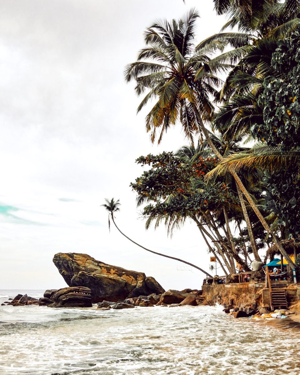 Photo of Of Cities, Hills and Beaches: How I Spent 12 Days in Sri Lanka by Himanshu Dutta