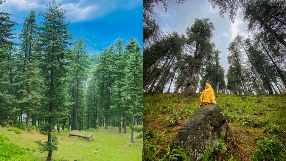 Photo of I Belong from This Village in Jammu & Kashmir and It's Paradise in Disguise! by Nargis Farheena