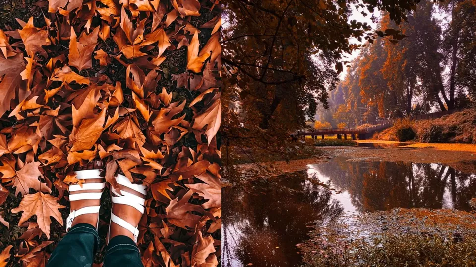 Photo of Dal Lake, Srinagar by Nargis Farheena 