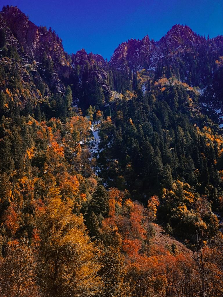 Photo of This Autum, Head To These 5 Breathtaking Places In Kashmir For A Mystical Experience by Nargis Farheena