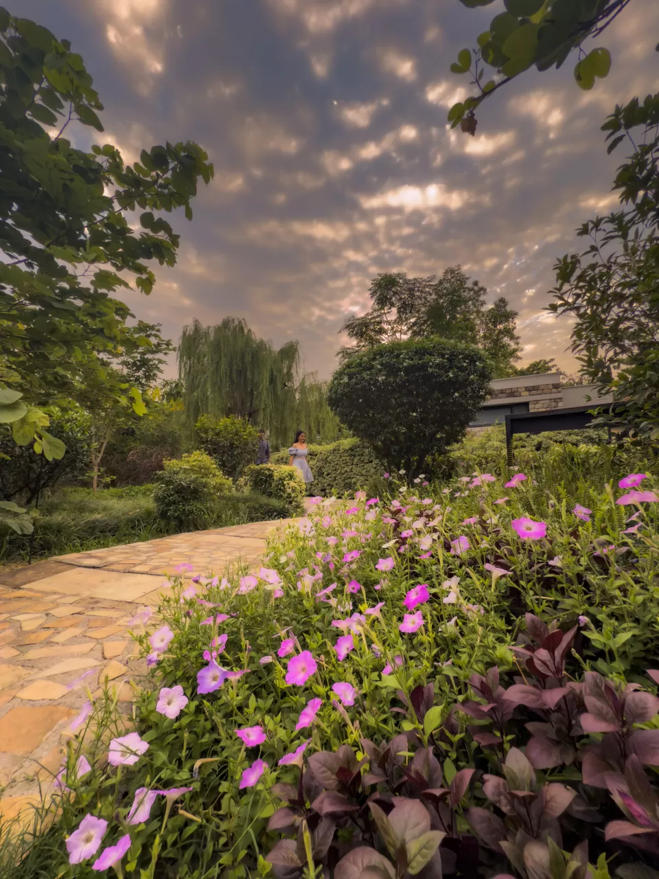 Photo of Where the Wild Meets the Warmth – A Stay at Golden Tusk by Nargis Farheena