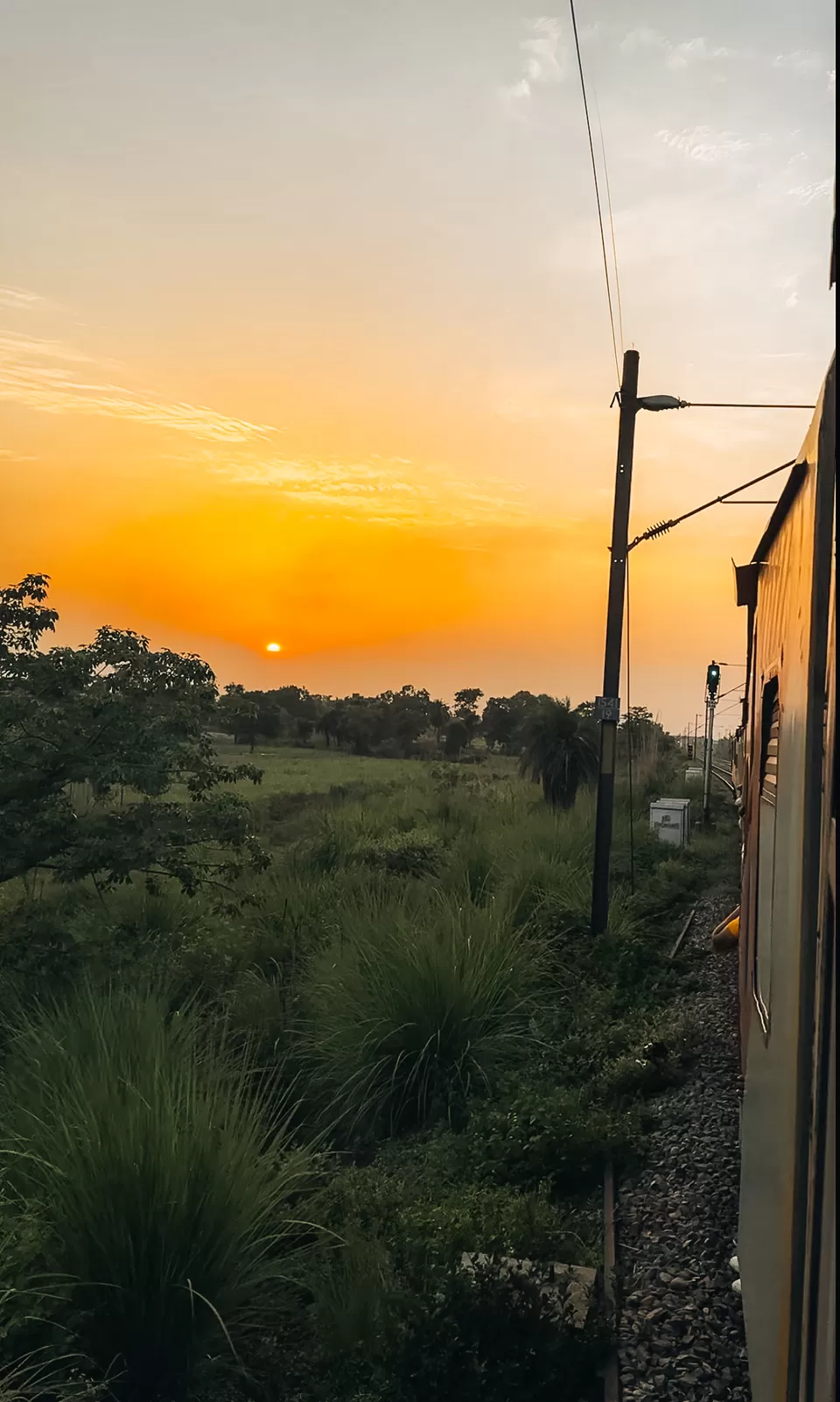 Photo of Where the Wild Meets the Warmth – A Stay at Golden Tusk by Nargis Farheena
