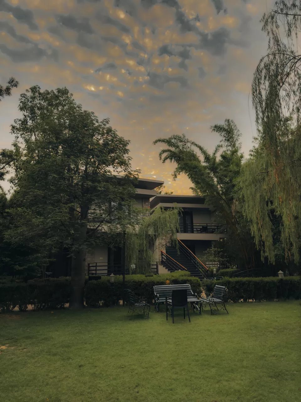 Photo of Where the Wild Meets the Warmth – A Stay at Golden Tusk by Nargis Farheena